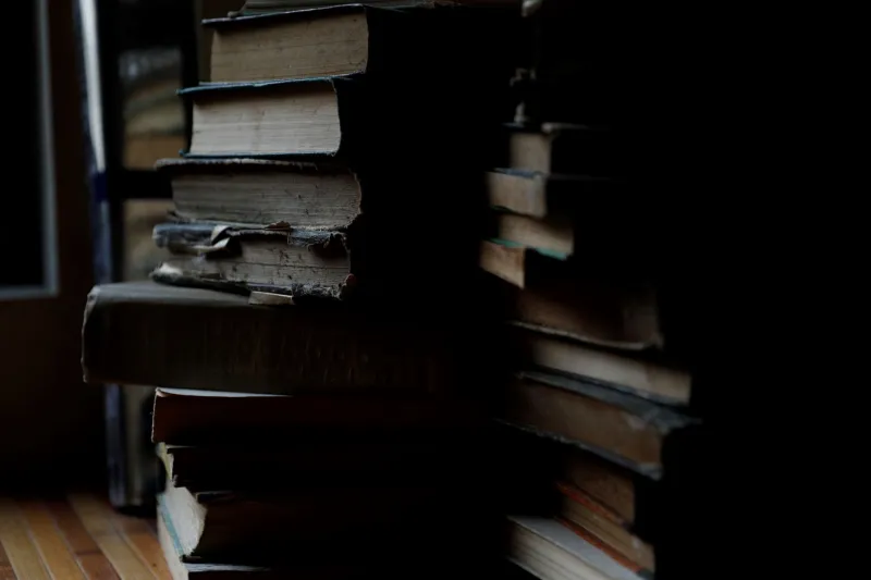 Brought Back to the Shelf: The Community-Driven Campaign to Rescue Forgotten American Novels
